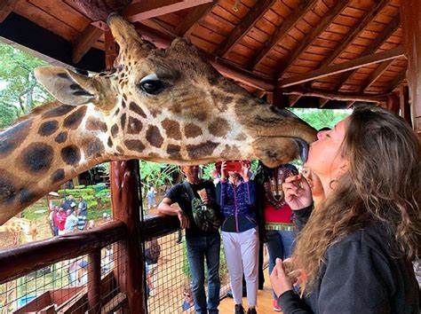 Nairobi Girrafe centre